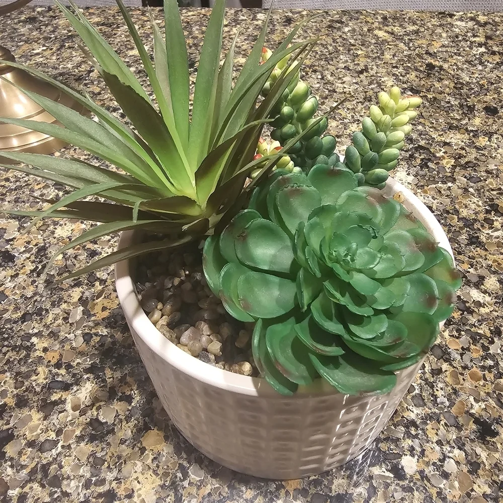 Artificial Green Succulent Arrangement in White Planter